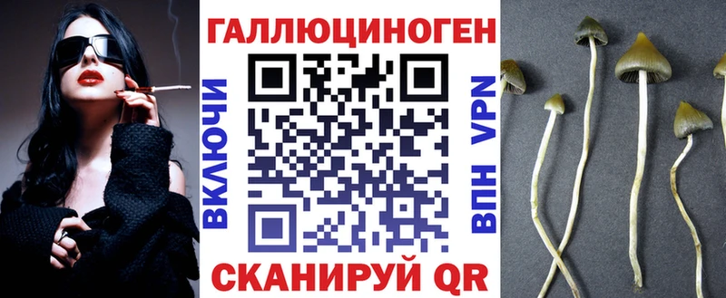 купить Тырныауз Псилоцибиновые грибы Magic Shrooms